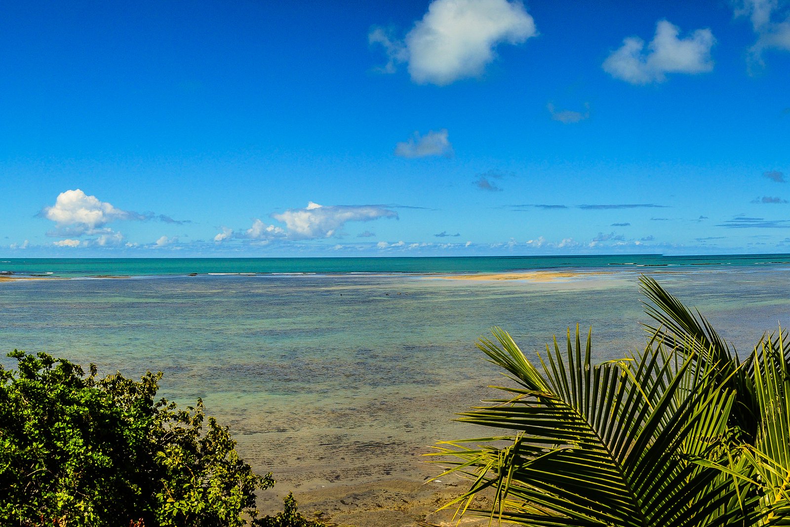 Praia do Salgado e piscinas naturais em Japaratinga, Alagoas